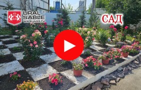 Сад ЮУВЗ